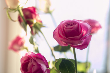 Similar image 7450163