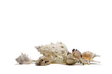 Similar image 7450165