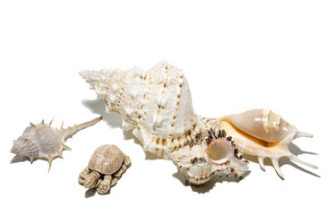 Similar image 7450227