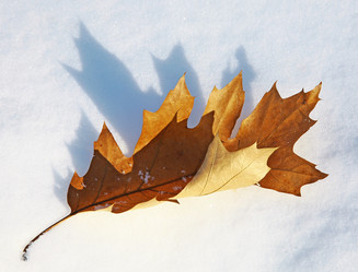 Similar image 7450235