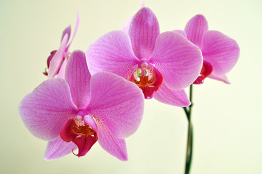 Similar image 7450343