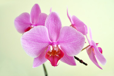 Similar image 7450344