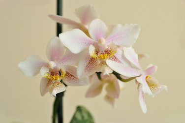 Similar image 7450345