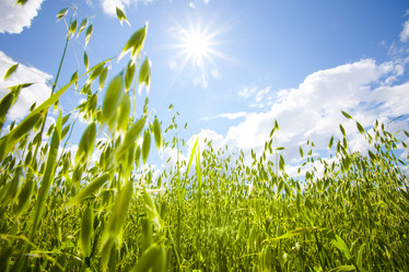 Similar image 7450453