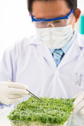 Similar image 7450473