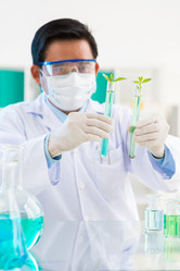 Similar image 7450480