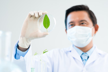 Similar image 7450486