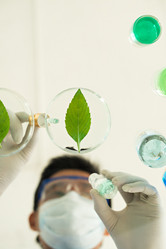 Similar image 7450487