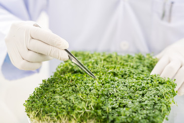 Similar image 7450491