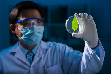 Similar image 7450498