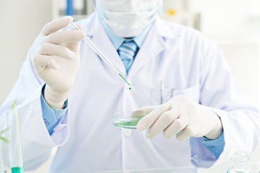 Similar image 7450499