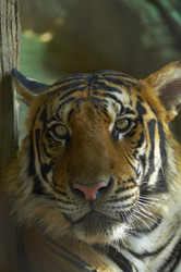 Similar image 7450500