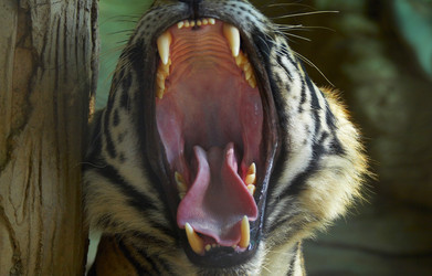 Similar image 7450501