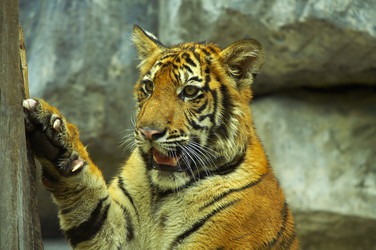 Similar image 7450502