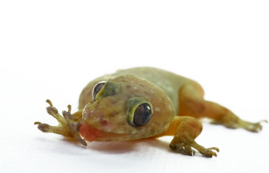 Similar image 7450503