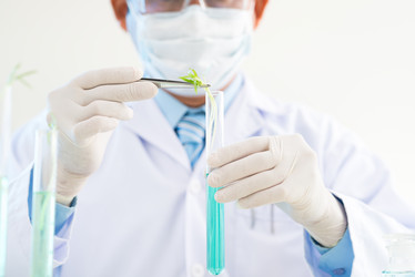 Similar image 7450505