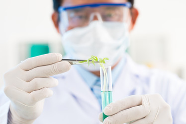 Similar image 7450506