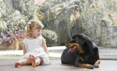 Similar image 7450551