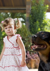 Similar image 7450558