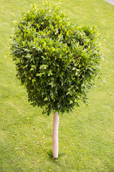 Similar image 7450662