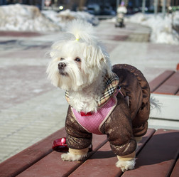 Similar image 7450695