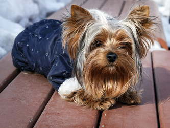 Similar image 7450696