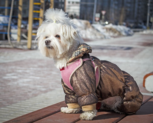 Similar image 7450697