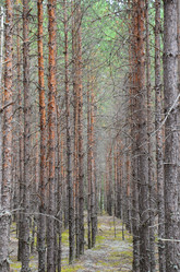 Similar image 7450720