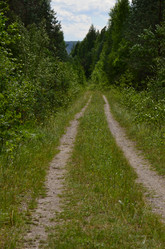 Similar image 7450721