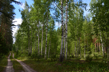 Similar image 7450722