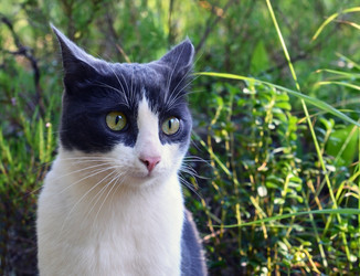 Similar image 7450742