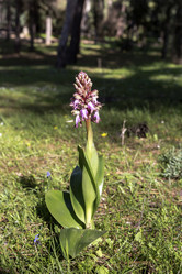 Similar image 7450744