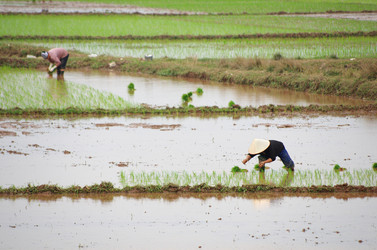 Similar image 7450777