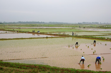 Similar image 7450778