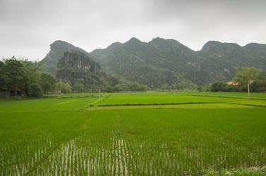 Similar image 7450781