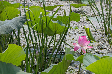 Similar image 7450791