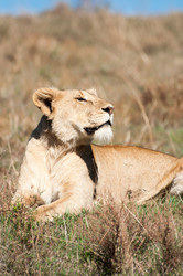 Similar image 7450817