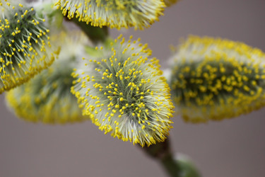 Similar image 7450850