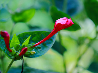 Similar image 7450851