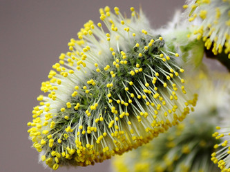 Similar image 7450852