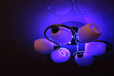 Similar image 7450854