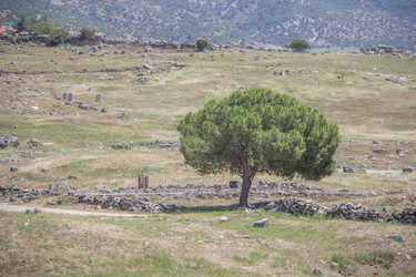 Similar image 7450902