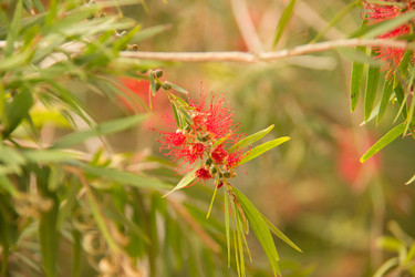 Similar image 7450903