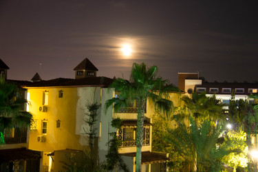 Similar image 7450908