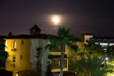 Similar image 7450916