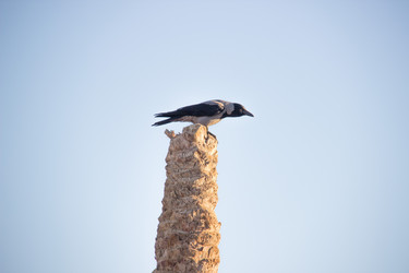 Similar image 7450928