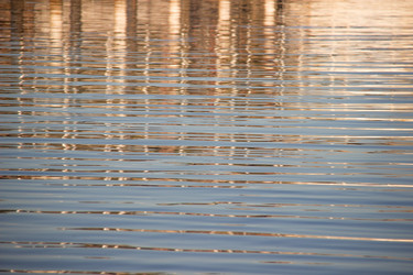 Similar image 7450930