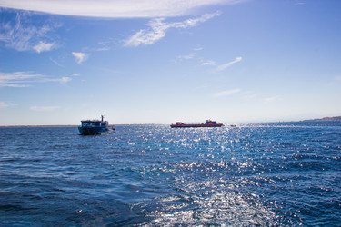 Similar image 7450941