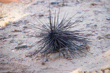 Similar image 7450962