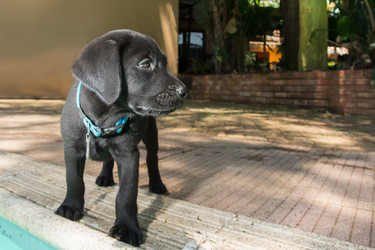 Similar image 7451121